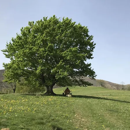 Kurutxiaitako Borda * Lasse (Pyrenees-Atlantiques)