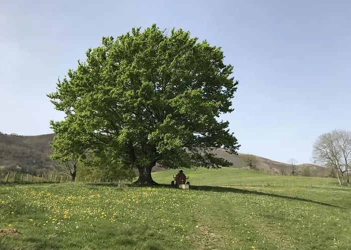 Kurutxiaitako Borda * Lasse (Pyrenees-Atlantiques)